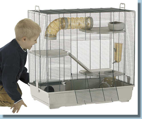 gitterkfig ratten